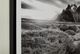 Signature Design by Ashley® Delstone Wall Art-3