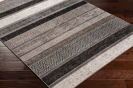 Surya Lavadora Multi-Colored 8'x10' Area Rug-4