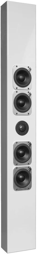 Totem Acoustics Tribe 4" On-Wall Speaker-1