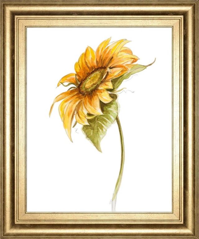Classy Art Harvest Gold Sunflower I by Patricia Pinto Wall Art-0