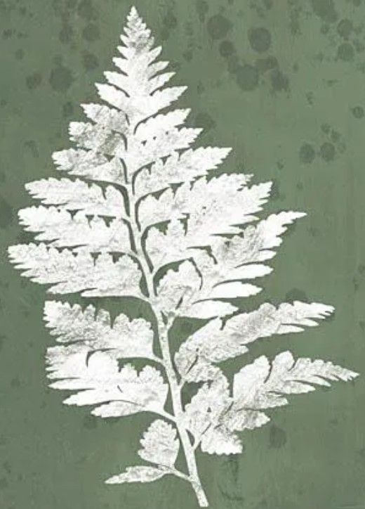 Classy Art Fern Botanical II by House Fenway Wall Art-1