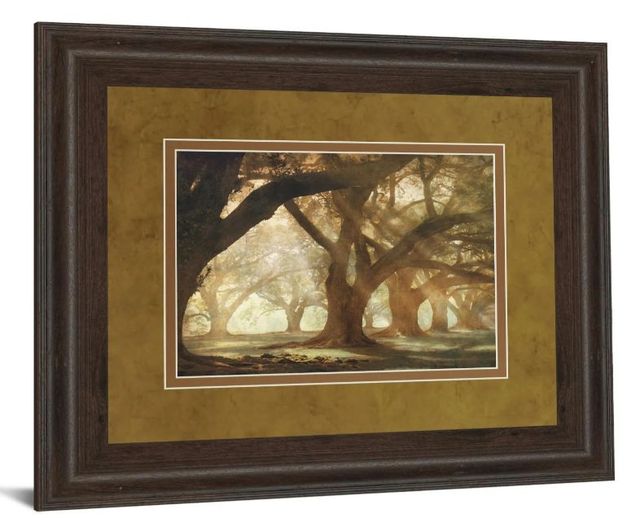 Classy Art Oak Alley Morning Light by William Guion Wall Art-1