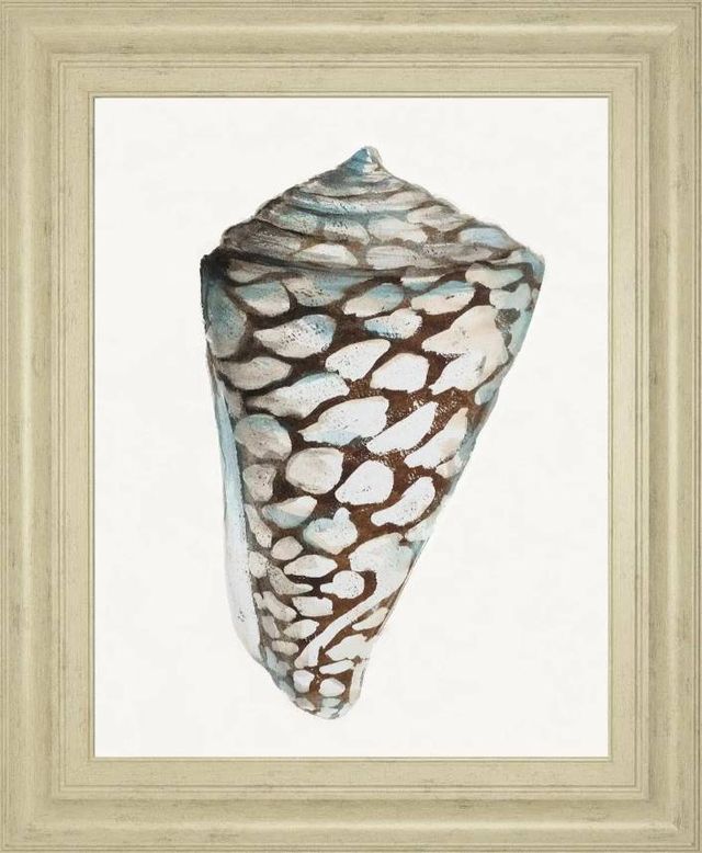 Classy Art Modern Shell With Teal II by Patrica Pinto Wall Art-0