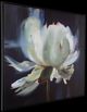 Uttermost® Liz Jardin Peony Framed Canvas-3