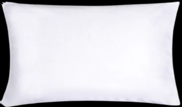 BEDGEAR® Stretchwick® Queen Pillow Protector-1