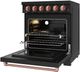 Thor Kitchen 30" Black Pro Style Electric Range with Precision Knob Control & Rose Gold Hardware-4