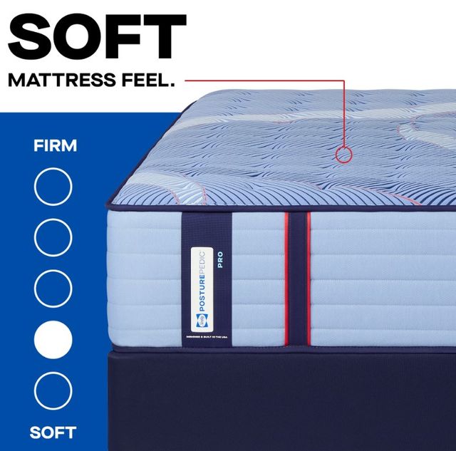 Sealy® Posturepedic® Pro Crenshaw II 15" Wrapped Coil Soft Euro Pillow Top California King Mattress-4