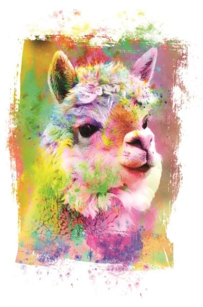 Classy Art Rainbow Llama II  by Jg Studios Wall Art-0