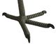 A & B Home Green Talon Candle Holder-2