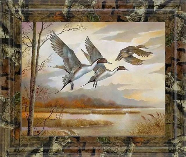 Classy Art Pintails by Ruanne Manning and Mossy Oak Native Living Framed Print Wall Art-0