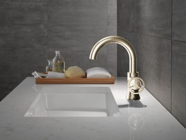 Delta Trinsic® Polished Nickel 9" Single Handle Wheel Bathroom Faucet-2