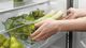 Fisher & Paykel Series 5 32 in. 17.1 Cu. Ft. Stainless Steel Counter Depth Bottom Freezer Refrigerator-2