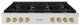 ZLINE Paramount Autograph Edition 48" Satin Stainless Steel Gas Cooktop with Champagne Bronze Accents-0