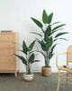 A & B Home Green 71" Birds of Paradise Tree in Pot-4