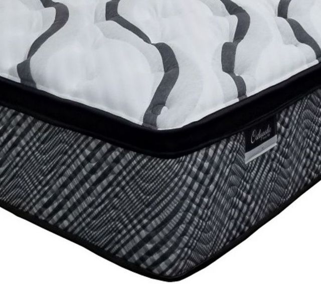 Restonic® Orthopedic VI Hybrid 15" Plush Euro Top Twin Mattress-1