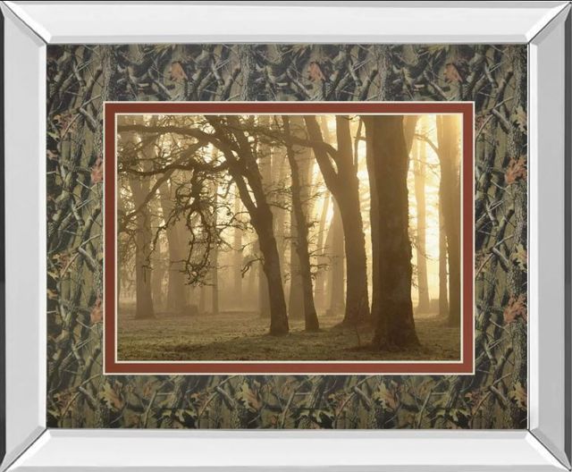 Classy Art Woodland Sweep by Dennis Frate Mirror Framed Wall Art-0