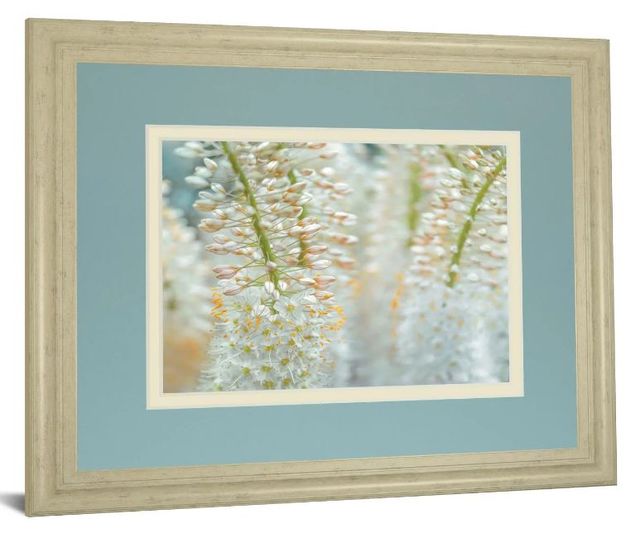 Classy Art Humbled by Frank Assaf Wall Art-1