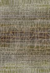 Fern