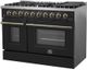 FORNO® Galiano 48" Stainless Steel Pro Style Gas Range with Black Door and Antique Brass Accents-4