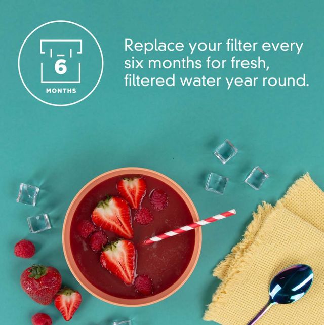 Every Drop® Ice Filter-3