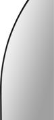 Renwil® Webster Black Wall Mirror-2