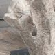 Crestview Collection Deacon Gray Large Sculpture-4