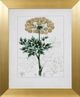 Stylecraft Antique Turpin Botanical VI Green/Gold Wall Art-0
