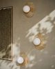 Currey & Company Apricity Beige/Frosted White Wall Sconce-4