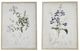 A & B Home 2-Piece Light Brown/White Floral Canvas Print Set-3