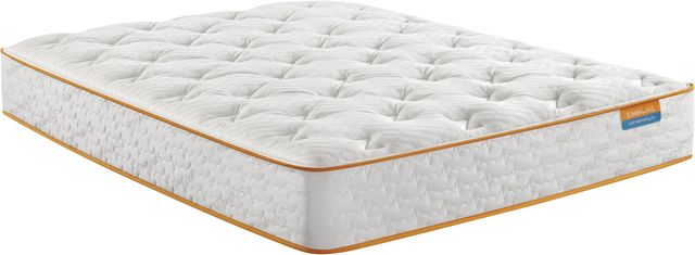 Simmons® Comfort Vibezzz Wrapped Coil Plush Tight Top Queen Mattress-0