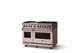 Viking® 5 Series 48" Blush Pro Style Dual Fuel (NG) Range with Brushed Brass Trim-2