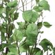 Uttermost® Aldis Aged Stone/Faux Moss Potted River Birch-4