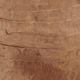 Dovetail Furniture Shai Terracotta Vase-2