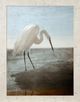 Stylecraft Bue Heron Black/Off-White Wall Art-0