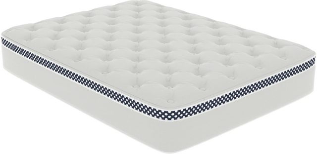 WinkBeds 13.5" Wrapped Coil Plush Euro Top Queen Mattress in a Box-0