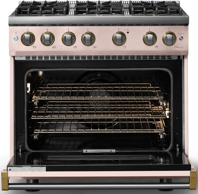 Viking® 5 Series 36" Blush Pro Style Gas (NG) Range with Brushed Brass Trim-1