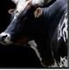 Crestview Collection Midnight Horns Wall Art-1