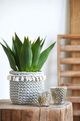 A & B Home 2-Piece Sage Green Basket Planters with Tassels-4