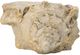 A & B Home Beige Medium Cement Seashell Planter-2