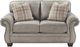 Signature Design by Ashley® Olsberg Steel Loveseat-0