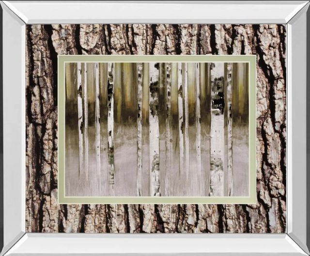Classy Art Fern Creek by Susan Jill Double Matted Mirror Framed Wall Art-0