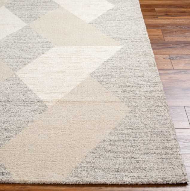 Surya Gavic Beige/Gray 4'x6' Area Rug-2