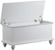 Powell® Whitehurst White Cedar Chest-0