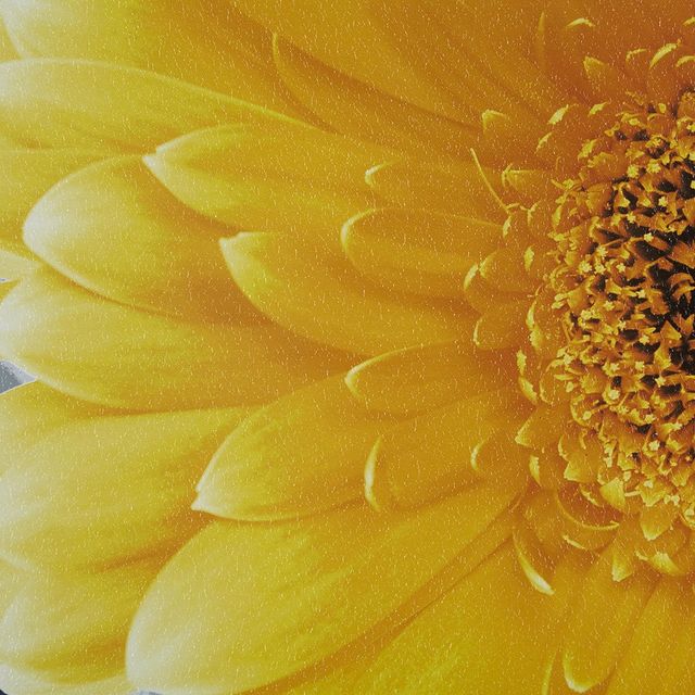 Olliix by Mi Zone Vibrant Yellow Yellow Gel Coated Canvas-1