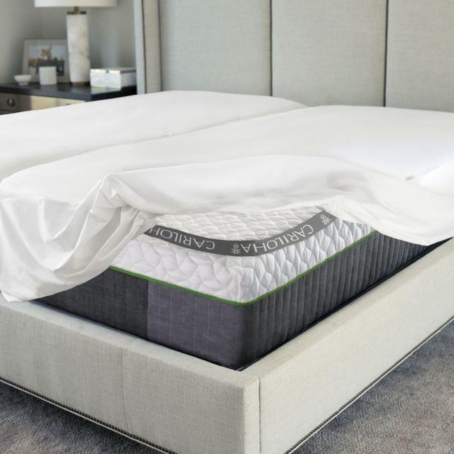 Cariloha Signature Jersey Queen Ultra Soft Mattress Protector-2