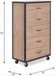 ACME Furniture Bemis Weathered Light Oak Chest-2
