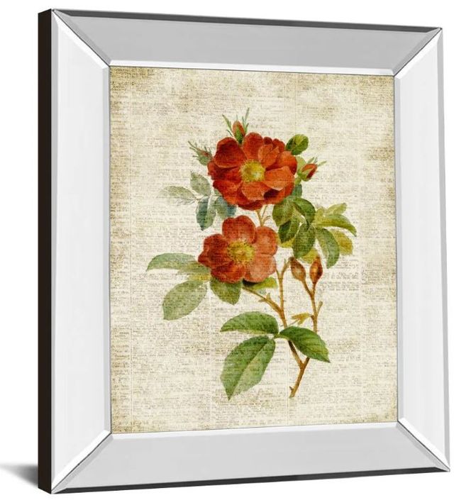 Classy Art Roses on Newsprint II by Lanie Loreth Mirror Mirror Framed Wall Art-1