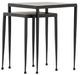 Four Hands Dalton 2-Piece Raw Black Nesting Table Set-1
