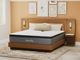 Nealden Plush Split Head Queen Mattress-4
