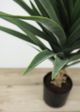 Le Present Yucca Green 35.5" Faux Botanical-1